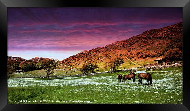 Valley of the Rocks Framed Print by Alexia Miles