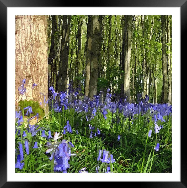 Arty woodland bluebell scene! Framed Mounted Print by Paula Palmer canvas