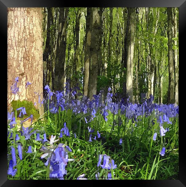 Arty woodland bluebell scene! Framed Print by Paula Palmer canvas