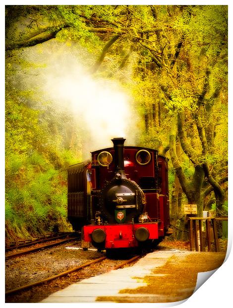 Talyllyn Railway Dolgoch, Wales, UK Print by Mark Llewellyn