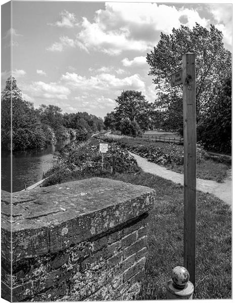 River Chelmer by Beeleigh falls Canvas Print by Robin East