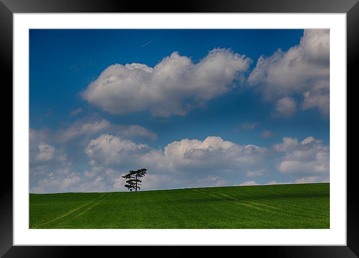 Lone Tree landscape Framed Mounted Print by Nigel Jones