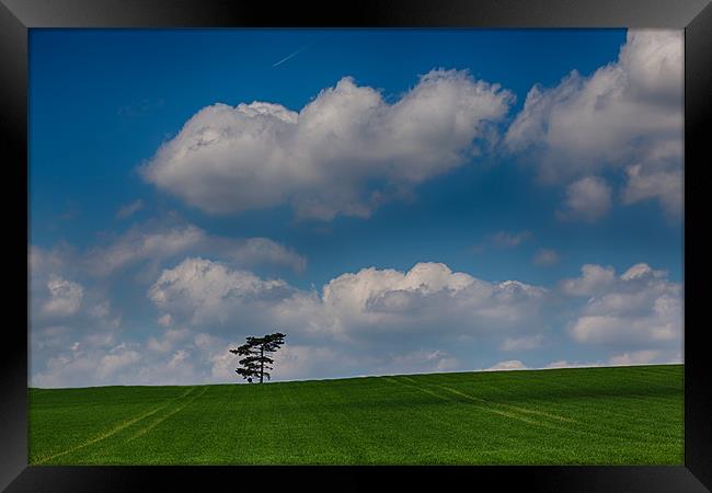 Lone Tree landscape Framed Print by Nigel Jones