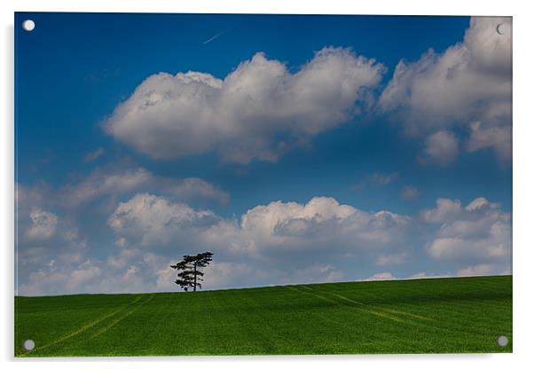 Lone Tree landscape Acrylic by Nigel Jones