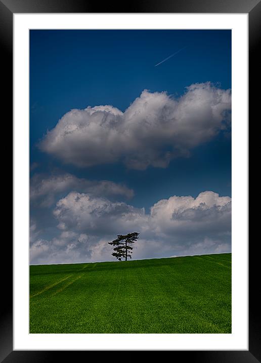 Lone Tree Portrait Framed Mounted Print by Nigel Jones