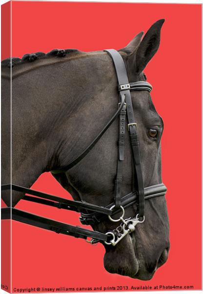 Horse on Red Canvas Print by Linsey Williams
