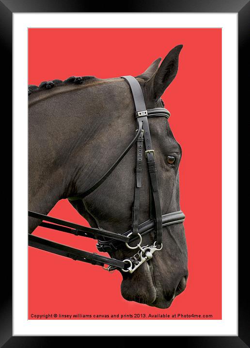 Horse on Red Framed Mounted Print by Linsey Williams