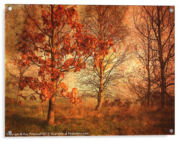 Textured Autumn Trees Acrylic by Ray Pritchard