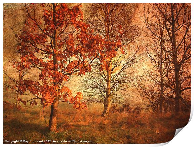 Textured Autumn Trees Print by Ray Pritchard
