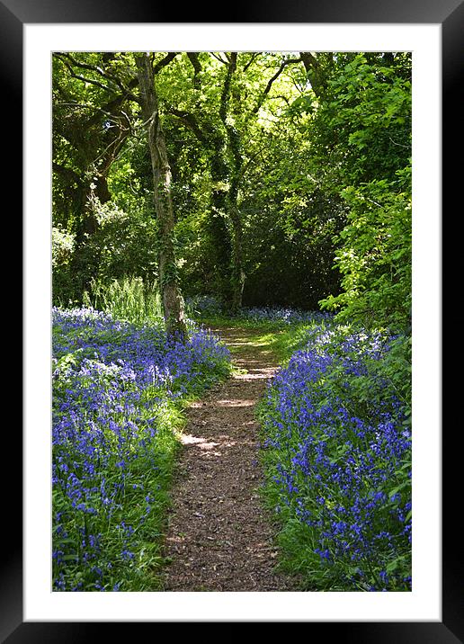 Path through the bells Framed Mounted Print by Donna Collett
