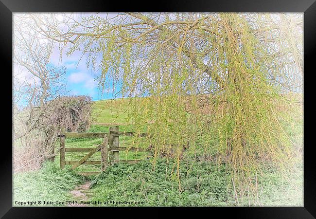Gate From The Meadow 2 Framed Print by Julie Coe