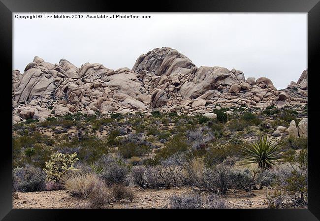 Winter in the Granite Mountains Framed Print by Lee Mullins