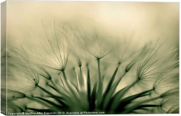 Dandelion crown Canvas Print by Martine Affre Eisenlohr