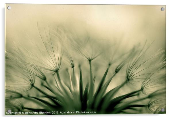 Dandelion crown Acrylic by Martine Affre Eisenlohr