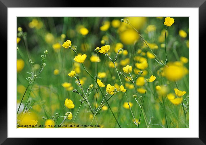 Sunshine yellow Framed Mounted Print by michelle rook
