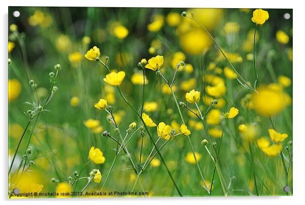 Sunshine yellow Acrylic by michelle rook