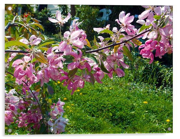 1538-flowers tree Acrylic by elvira ladocki