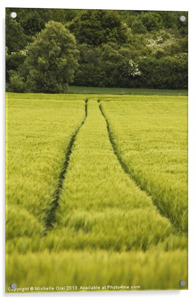 Tractor Trails Acrylic by Michelle Orai