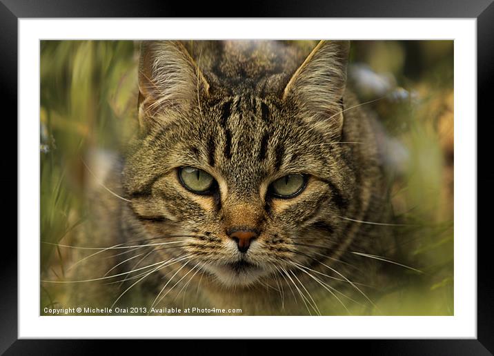 On the Prowl Framed Mounted Print by Michelle Orai