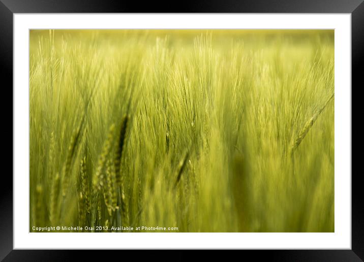 In the Wheatfield Framed Mounted Print by Michelle Orai