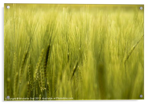 In the Wheatfield Acrylic by Michelle Orai