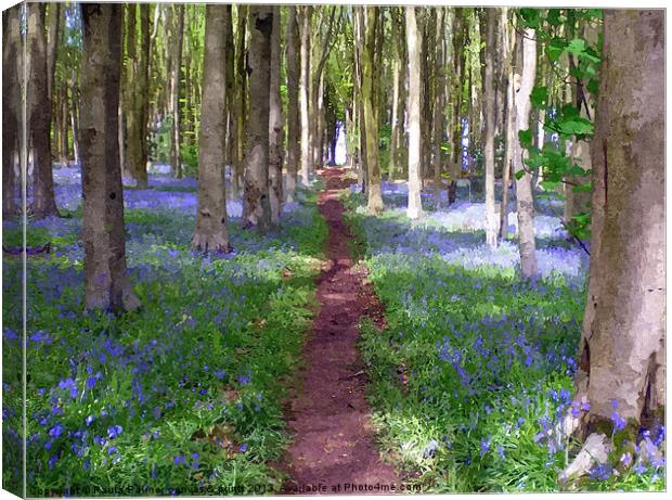 Pathway through the Bluebell wood. Canvas Print by Paula Palmer canvas