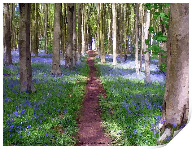 Pathway through the Bluebell wood. Print by Paula Palmer canvas