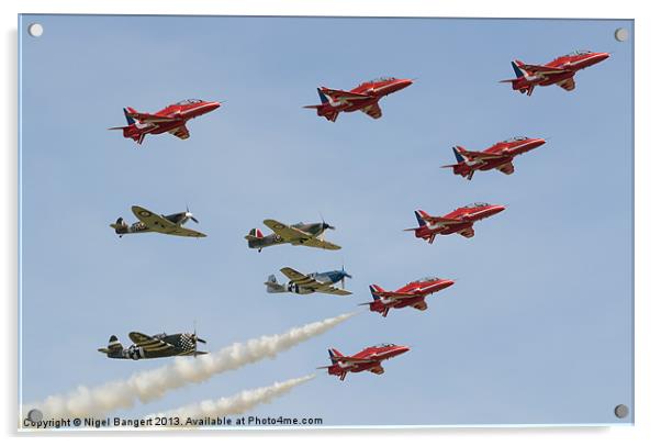 The Red Arrows with Eagle Squadron Acrylic by Nigel Bangert