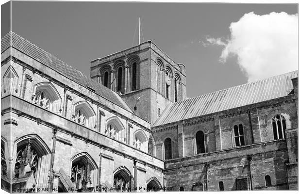 Winchester Cathedral Canvas Print by Anthony Kellaway