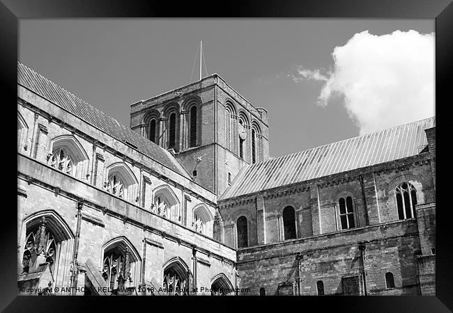 Winchester Cathedral Framed Print by Anthony Kellaway