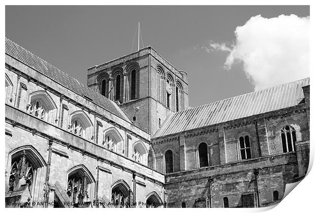 Winchester Cathedral Print by Anthony Kellaway