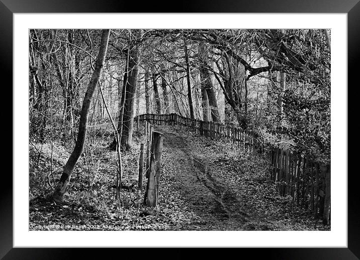 Into The Dark Woods Framed Mounted Print by Rob Booth