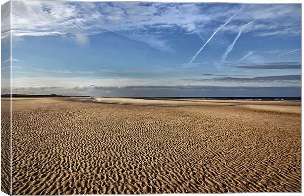 Ripples in the sand Canvas Print by Gary Pearson