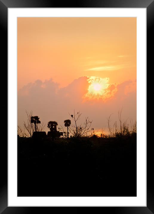 Pondicherry Sunrise Framed Mounted Print by Arfabita  