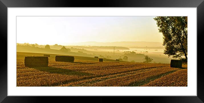 Harvest Dawn - Panoramic Framed Mounted Print by graham young
