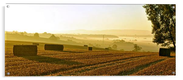 Harvest Dawn - Panoramic Acrylic by graham young