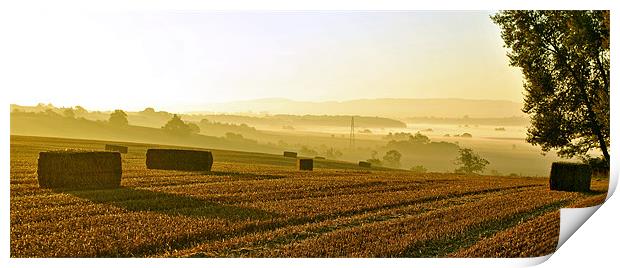 Harvest Dawn - Panoramic Print by graham young