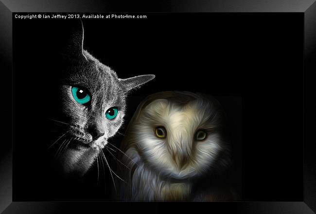 The Owl and the Pussycat Framed Print by Ian Jeffrey