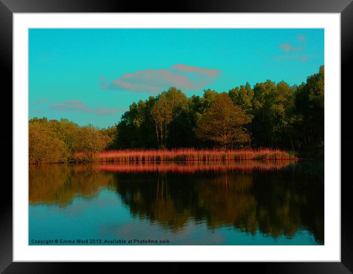 ponds collection 8 Framed Mounted Print by Emma Ward