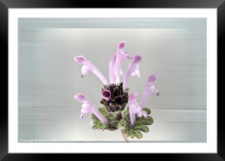 Delicate flower Framed Mounted Print by Martine Affre Eisenlohr