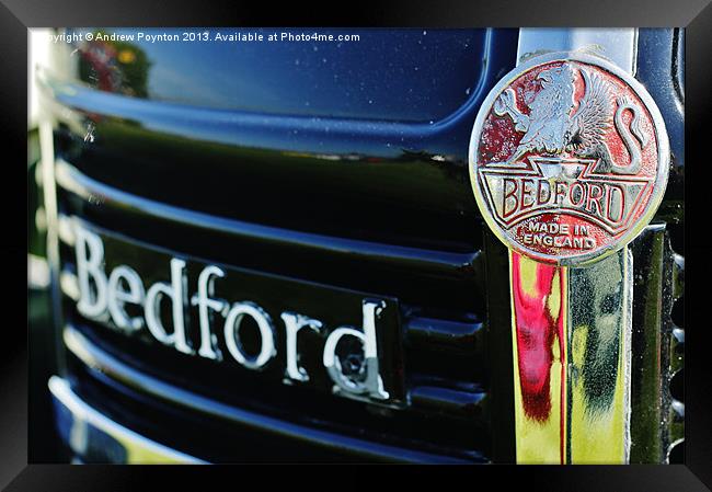 BEDFORD LORRY GRILL BADGE Framed Print by Andrew Poynton