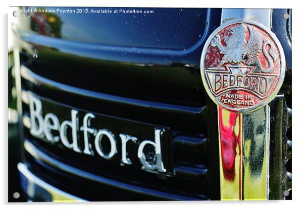 BEDFORD LORRY GRILL BADGE Acrylic by Andrew Poynton