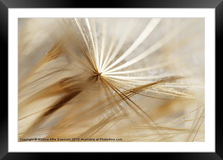 Abstract seeds Framed Mounted Print by Martine Affre Eisenlohr