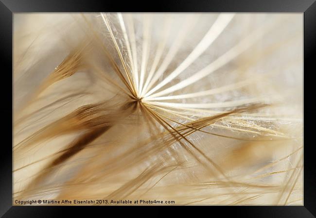 Abstract seeds Framed Print by Martine Affre Eisenlohr
