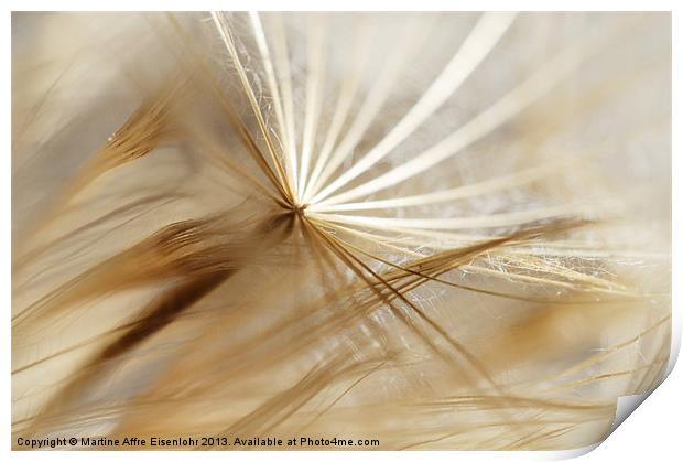 Abstract seeds Print by Martine Affre Eisenlohr