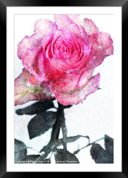 Rough with the smooth?? Framed Mounted Print by Digitalshot Photography