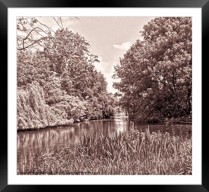 ponds collection 10 Framed Mounted Print by Emma Ward