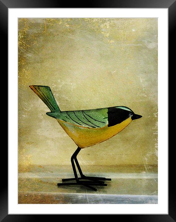 green jay Framed Mounted Print by Heather Newton