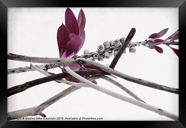 Graphics branches Framed Print by Martine Affre Eisenlohr
