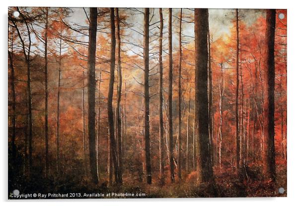 Ousbrough Woods Acrylic by Ray Pritchard